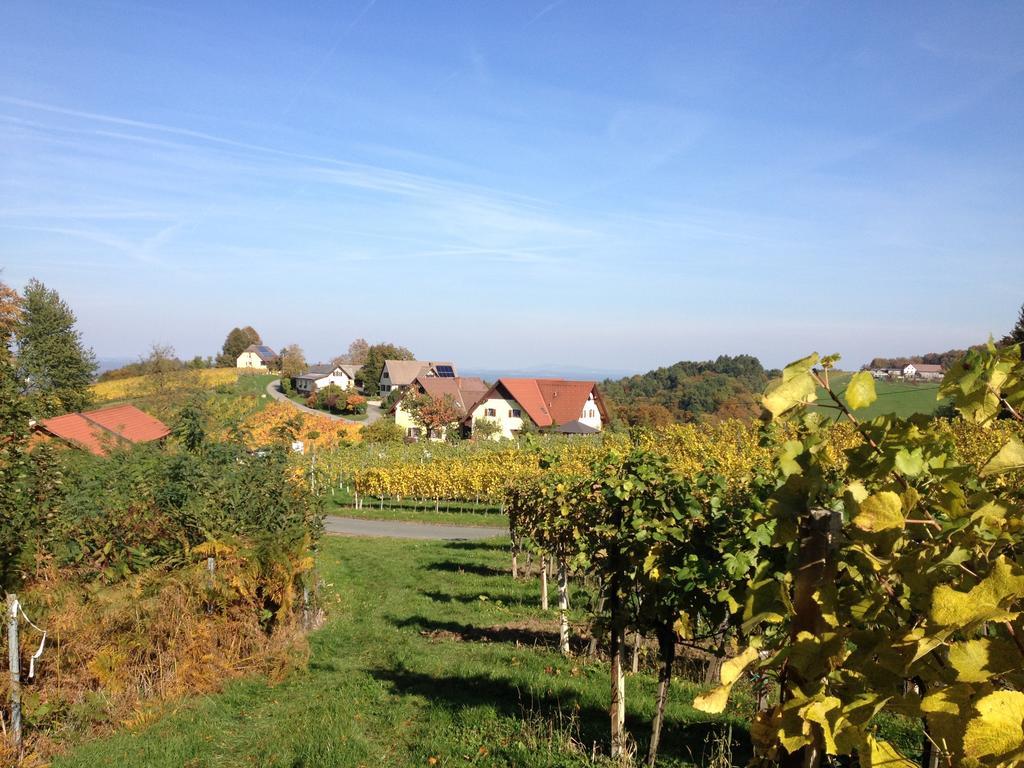 Weingut Schwarzl Panzió Ratsch an der Weinstraße Kültér fotó